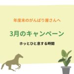 3月キャンペーンのお知らせ📢